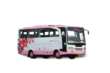 Medium Bus Pink 1