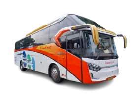 BUS PATAS